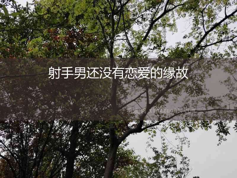 射手男還沒有戀愛的緣故