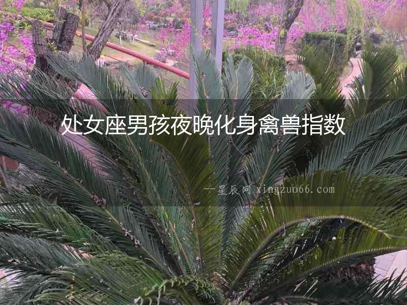 處女座男孩夜晚化身禽獸指數