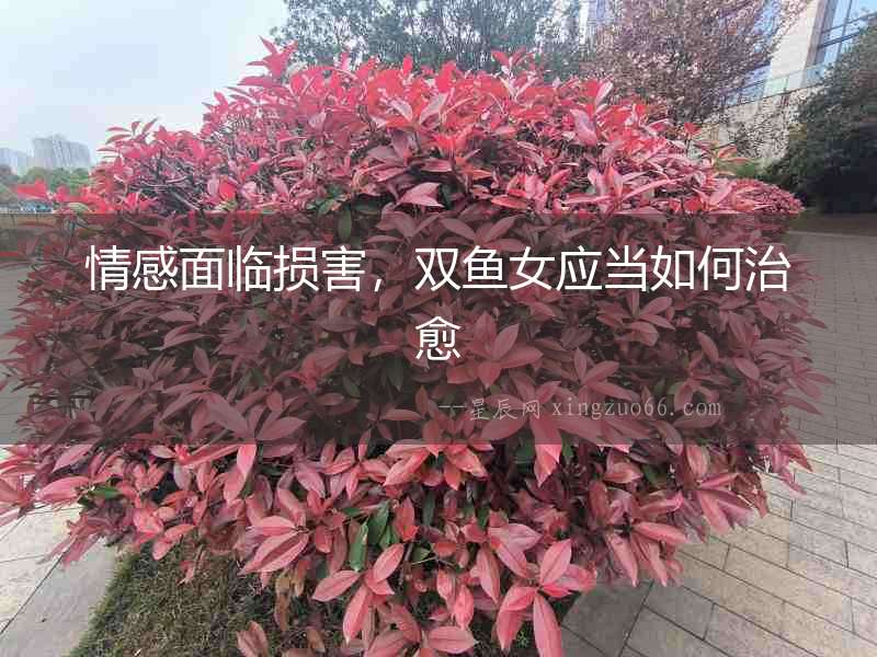 情感面臨損害，雙魚女應當如何治愈