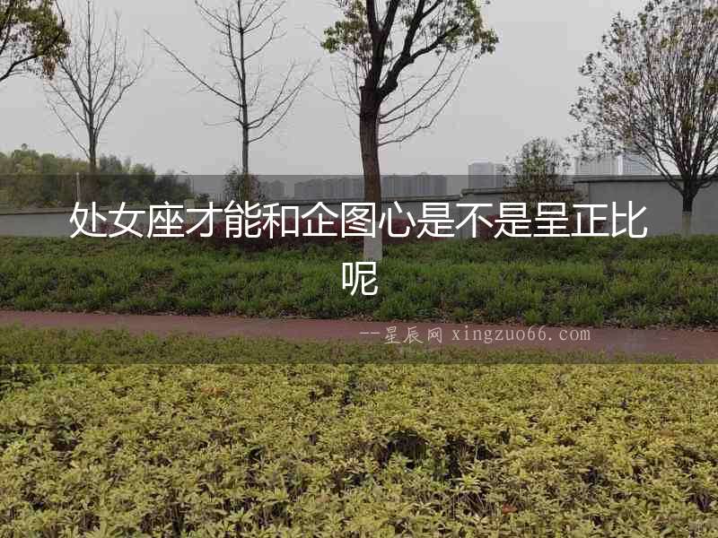 處女座才能和企圖心是不是呈正比呢