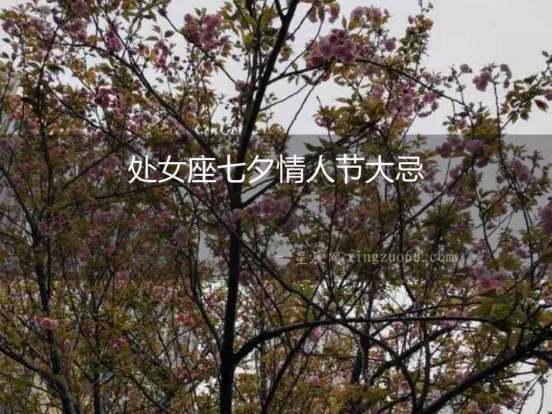 處女座七夕情人節(jié)大忌