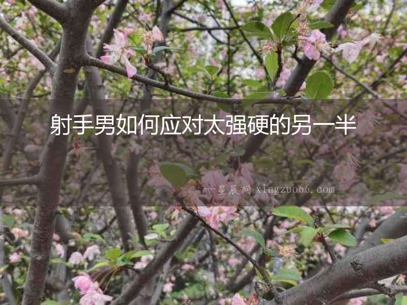 射手男如何應(yīng)對(duì)太強(qiáng)硬的另一半