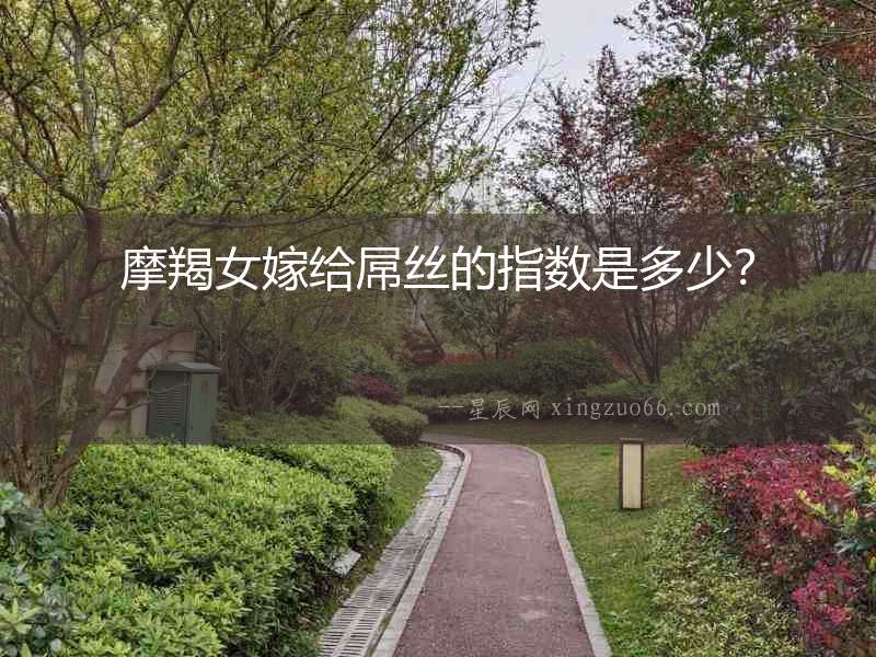 摩羯女嫁給屌絲的指數是多少？