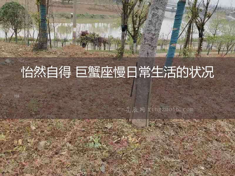 怡然自得 巨蟹座慢日常生活的狀況