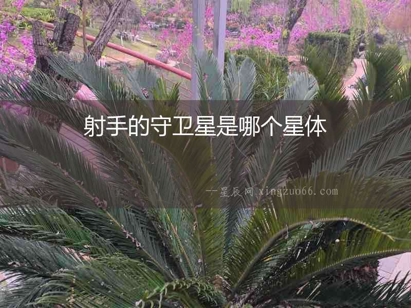 射手的守衛星是哪個星體