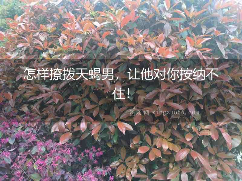 怎樣撩撥天蝎男，讓他對你按納不住！