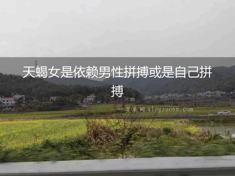 天蝎女是依賴男性拼搏或是自己拼搏