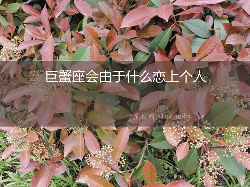 巨蟹座會(huì)由于什么戀上個(gè)人