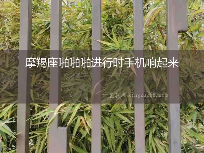 摩羯座啪啪啪進(jìn)行時(shí)手機(jī)響起來