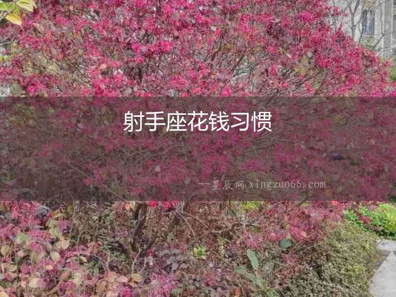 射手座花錢習慣