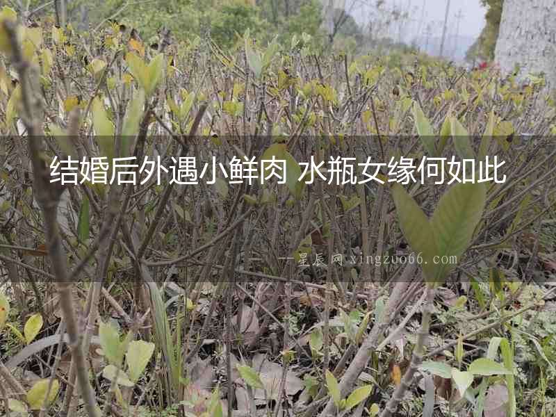 結(jié)婚后外遇小鮮肉 水瓶女緣何如此