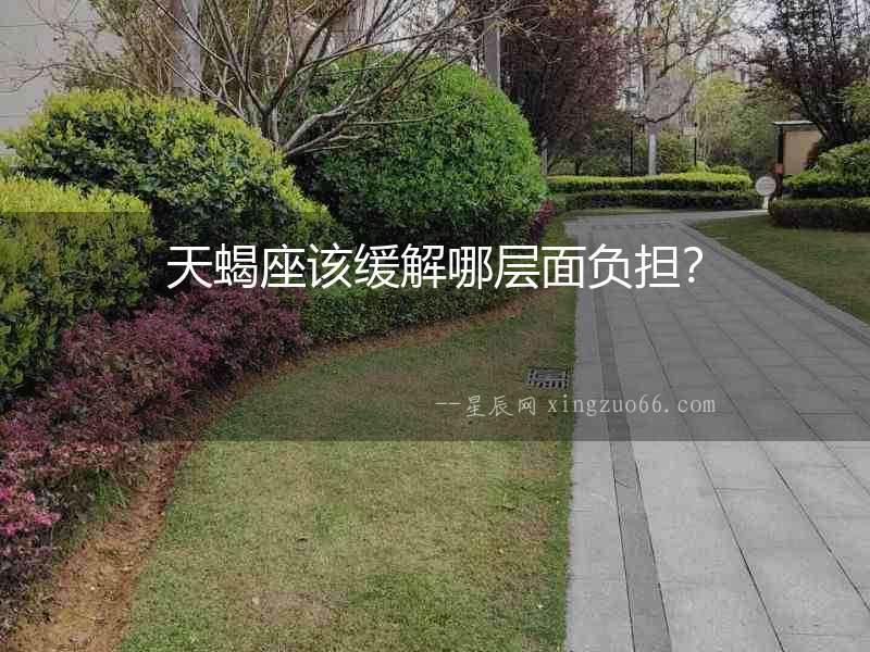天蝎座該緩解哪層面負擔？