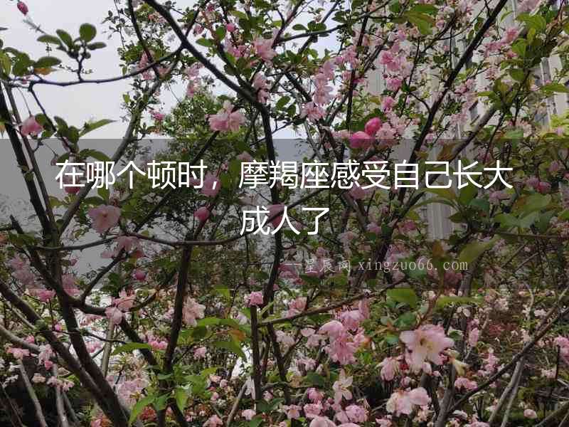 在哪個頓時，摩羯座感受自己長大成人了