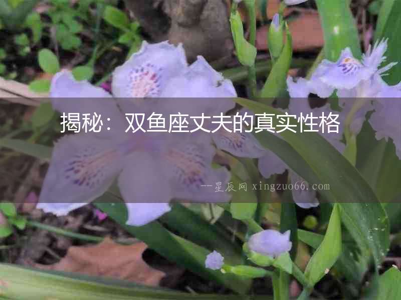 揭秘：雙魚座丈夫的真實性格