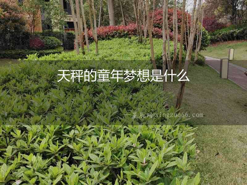 天秤的童年夢想是什么