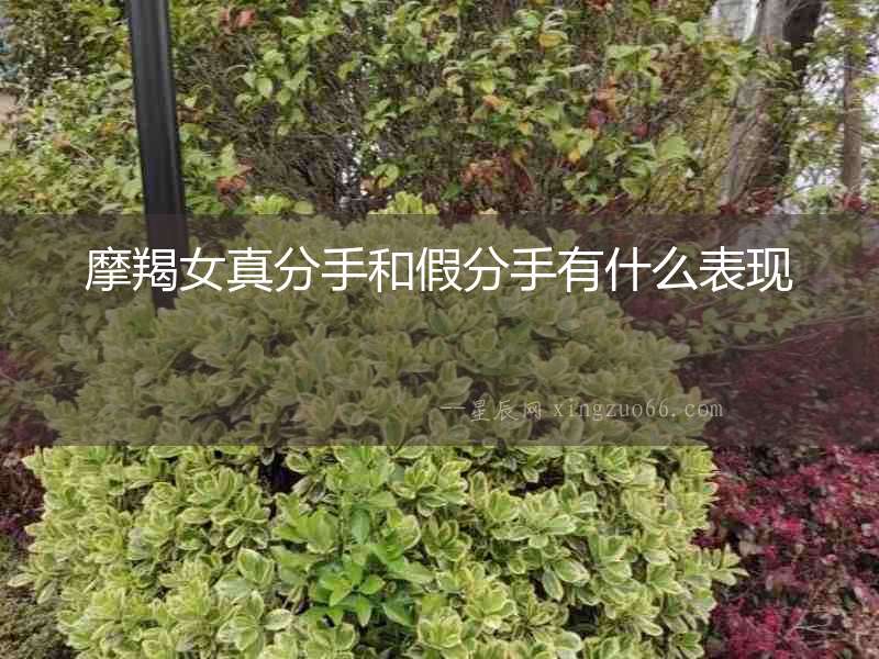 摩羯女真分手和假分手有什么表現(xiàn)