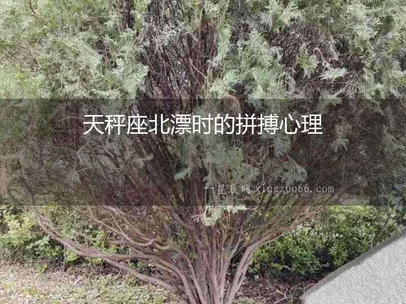 天秤座北漂時的拼搏心理