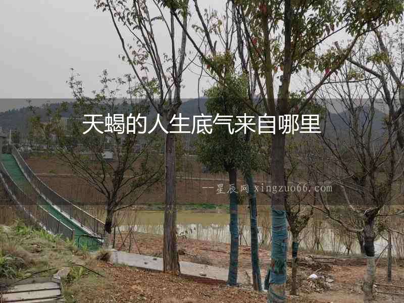 天蝎的人生底氣來(lái)自哪里