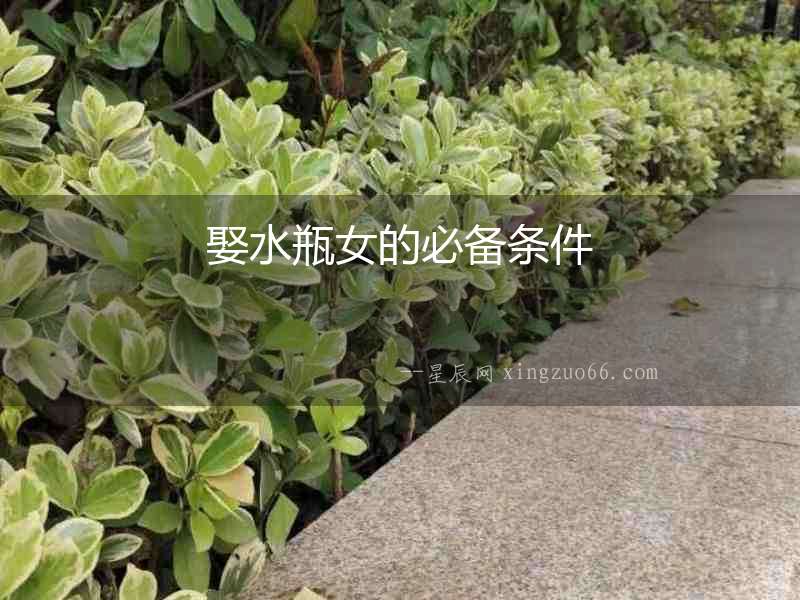 娶水瓶女的必備條件