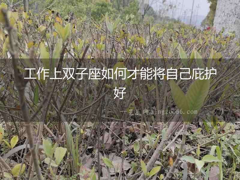 工作上雙子座如何才能將自己庇護好
