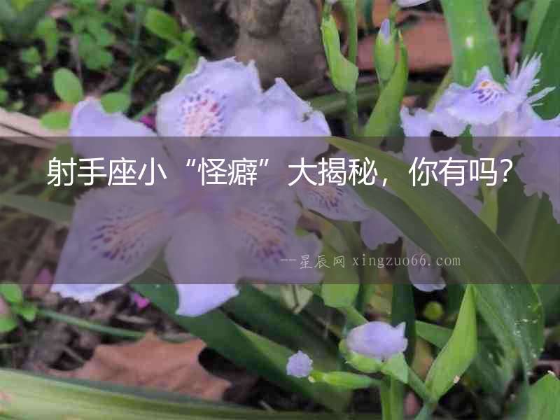 射手座小“怪癖”大揭秘，你有嗎？