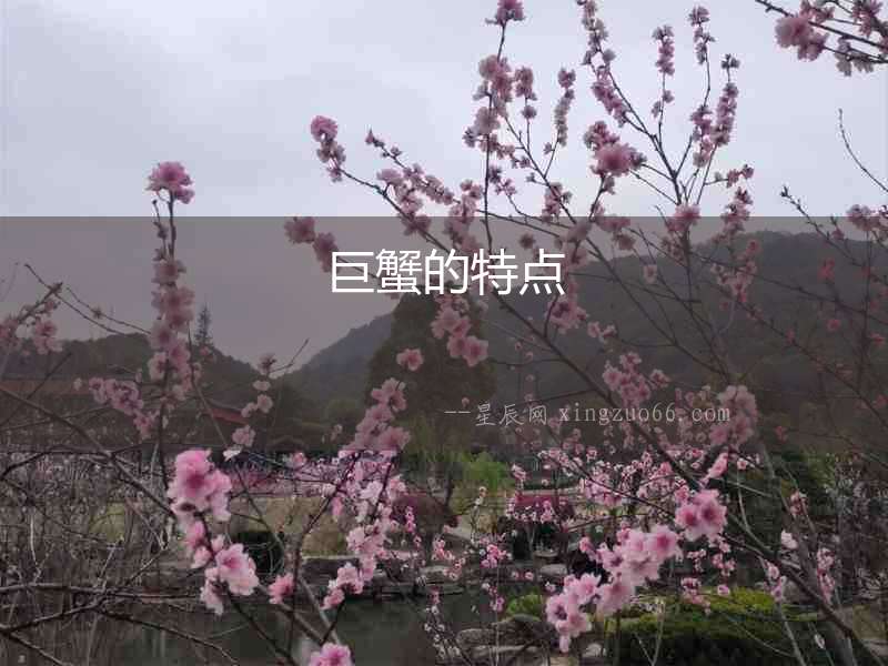 巨蟹的特點(diǎn)