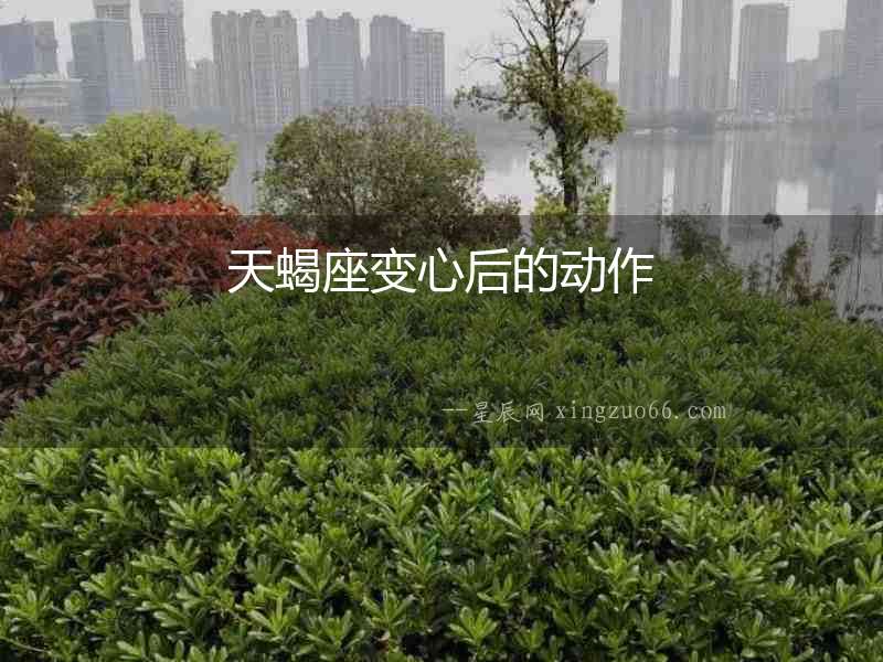 天蝎座變心后的動作