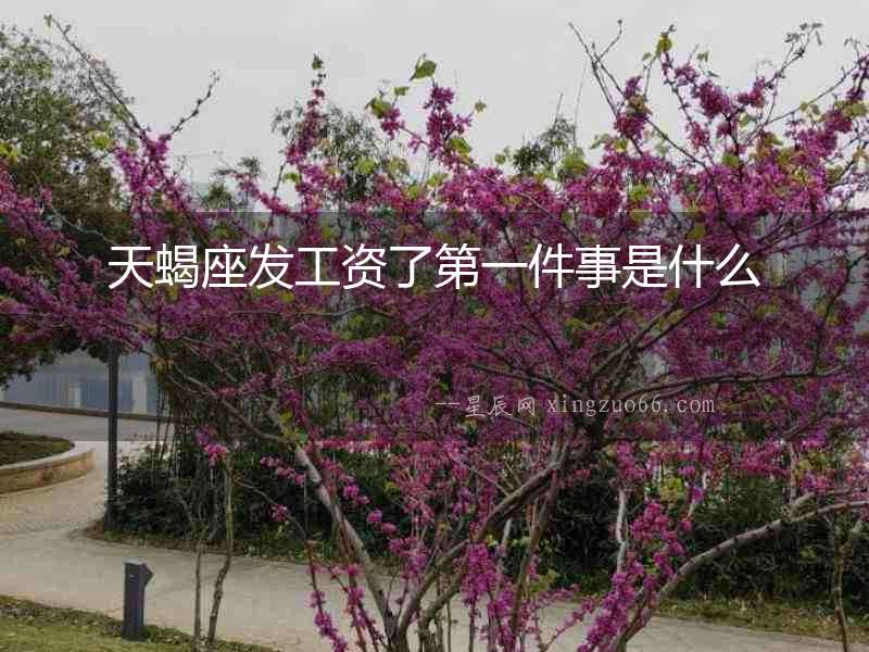 天蝎座發(fā)工資了第一件事是什么