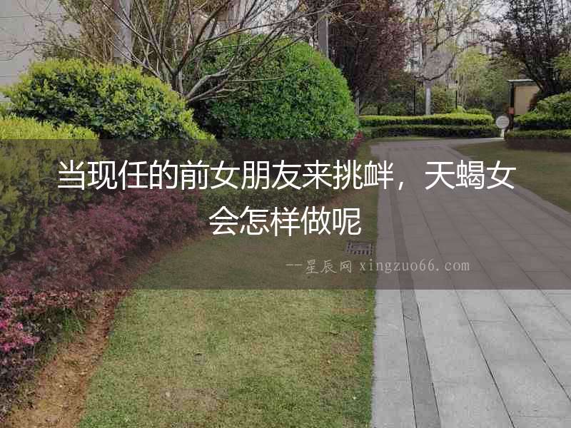 當現任的前女朋友來挑釁，天蝎女會怎樣做呢