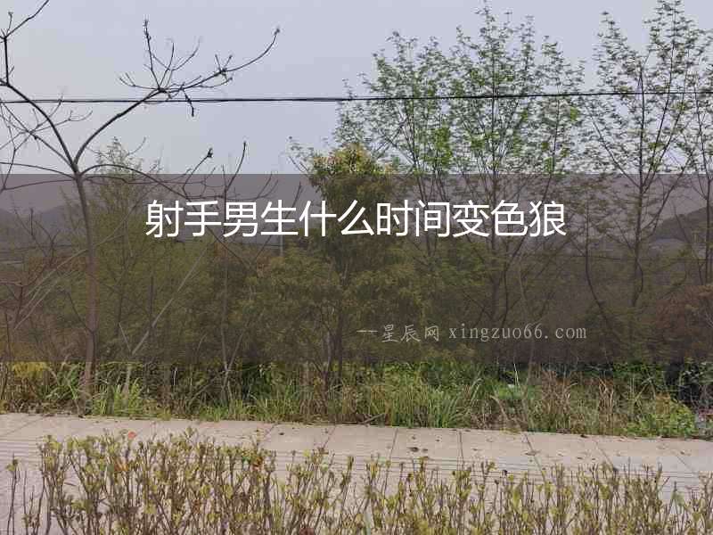 射手男生什么時間變色狼