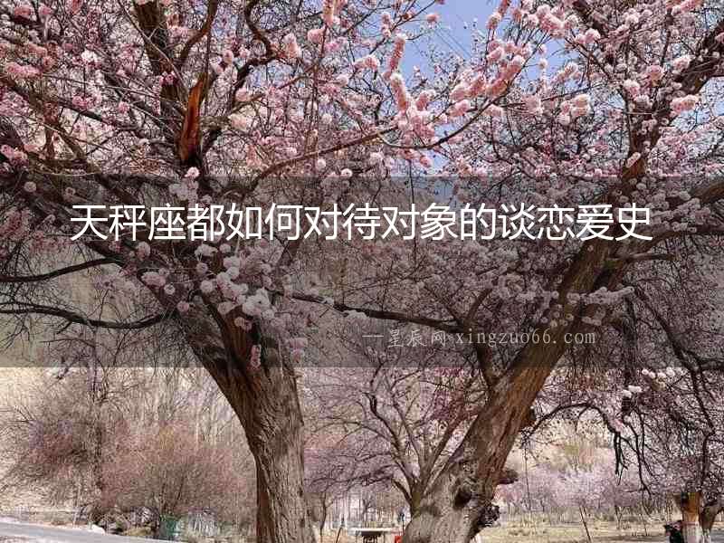 天秤座都如何對待對象的談戀愛史