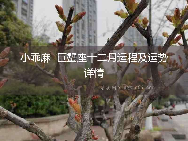 小乖麻  巨蟹座十二月運(yùn)程及運(yùn)勢(shì)詳情