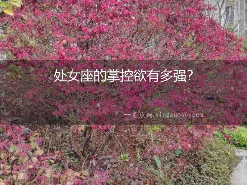處女座的掌控欲有多強？