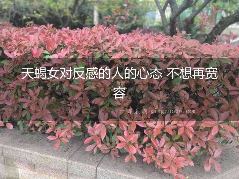 天蝎女對反感的人的心態(tài) 不想再寬容