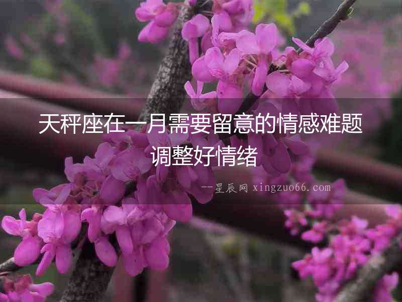 天秤座在一月需要留意的情感難題 調整好情緒