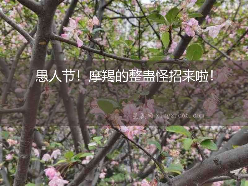 愚人節！摩羯的整蠱怪招來啦！