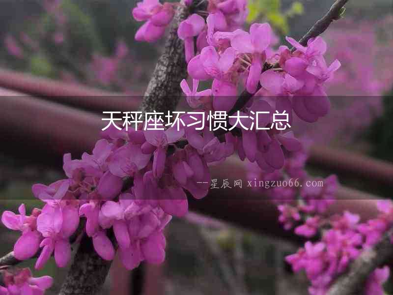 天秤座壞習慣大匯總