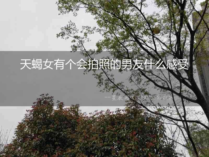 天蝎女有個(gè)會(huì)拍照的男友什么感受