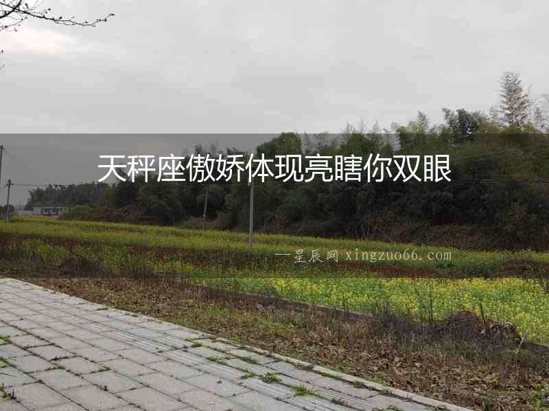 天秤座傲嬌體現亮瞎你雙眼