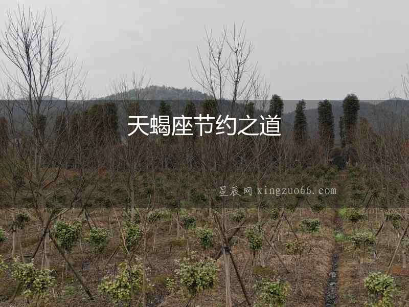 天蝎座節約之道