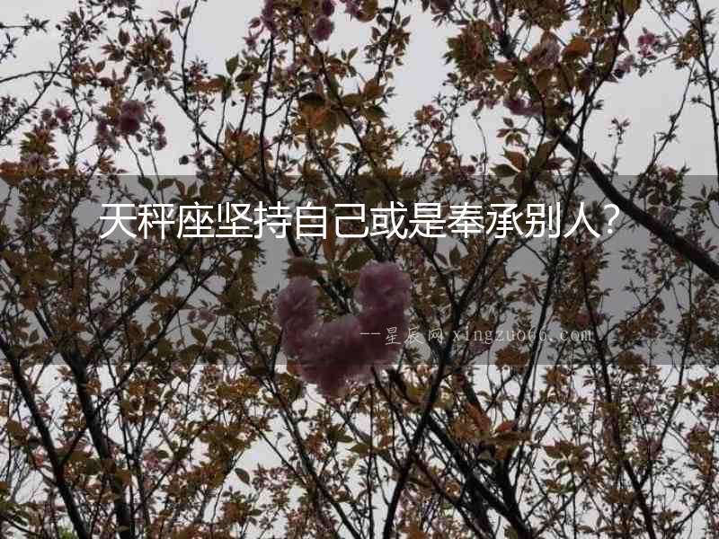 天秤座堅持自己或是奉承別人？