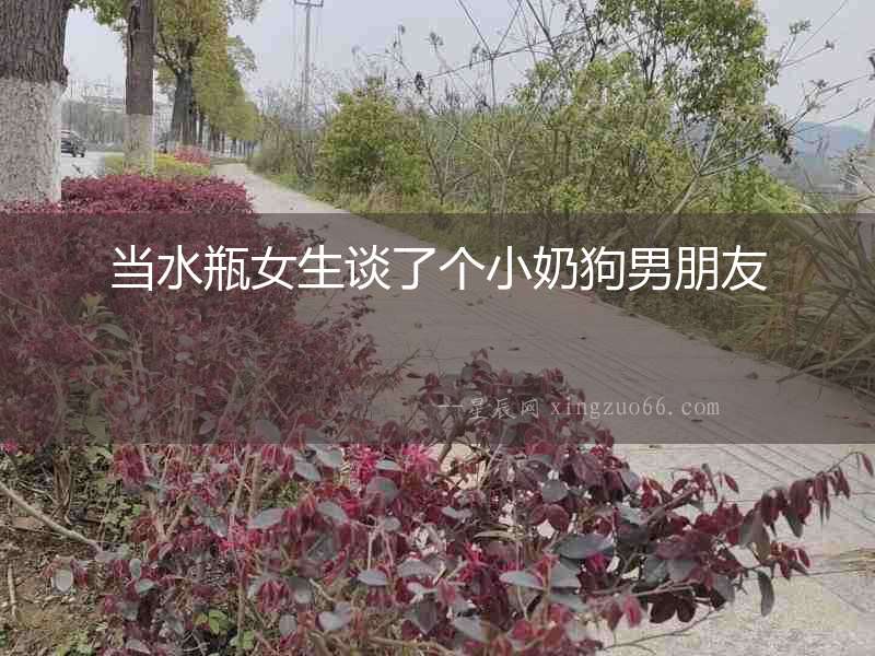 當水瓶女生談了個小奶狗男朋友