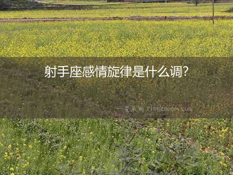 射手座感情旋律是什么調？