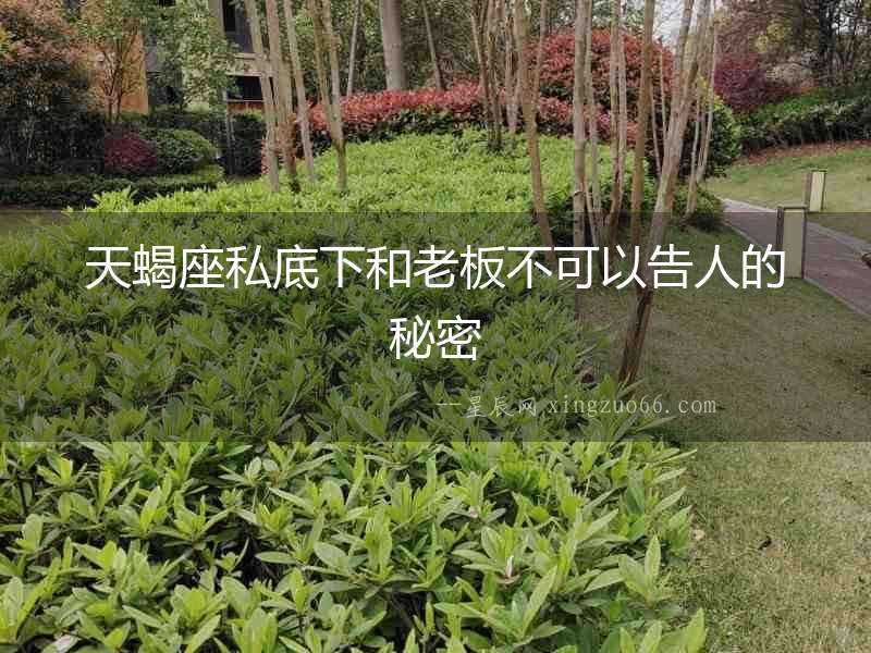 天蝎座私底下和老板不可以告人的秘密
