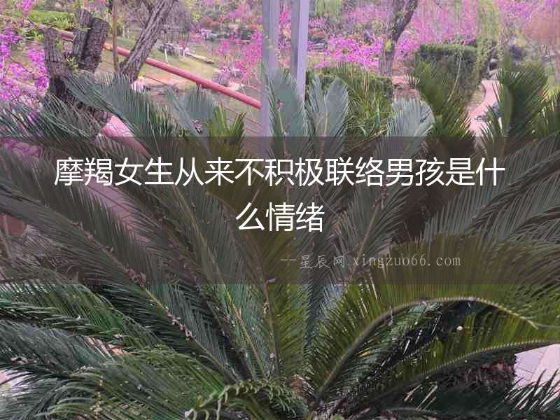 摩羯女生從來不積極聯絡男孩是什么情緒