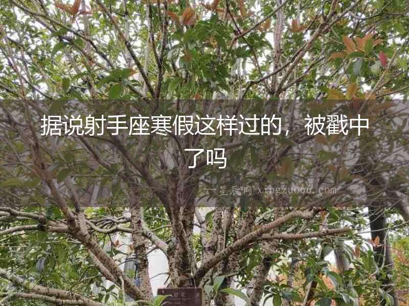 據說射手座寒假這樣過的，被戳中了嗎