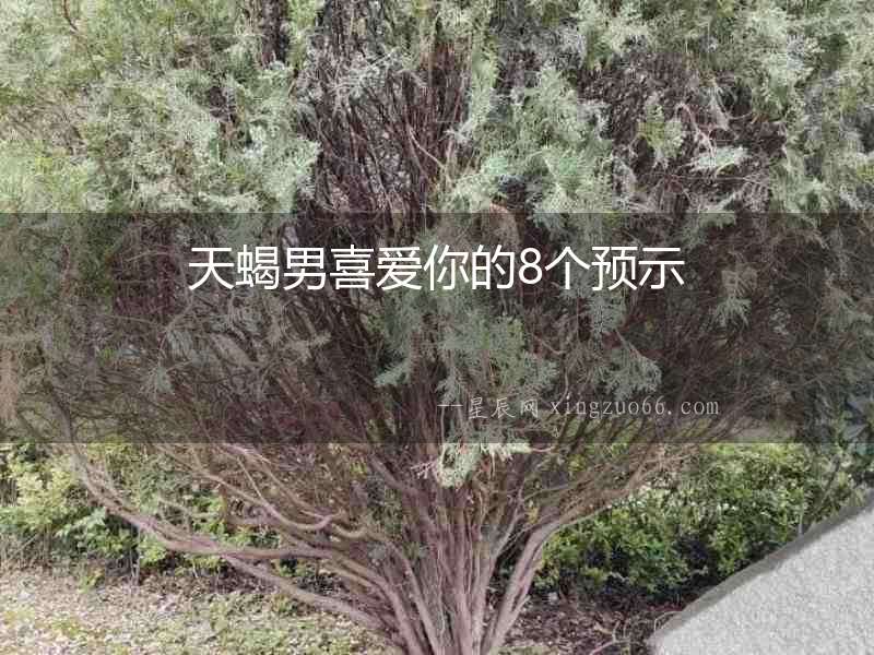 天蝎男喜愛你的8個(gè)預(yù)示