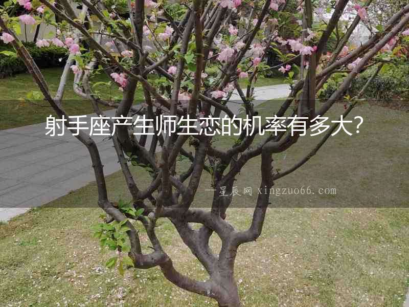 射手座產生師生戀的機率有多大？