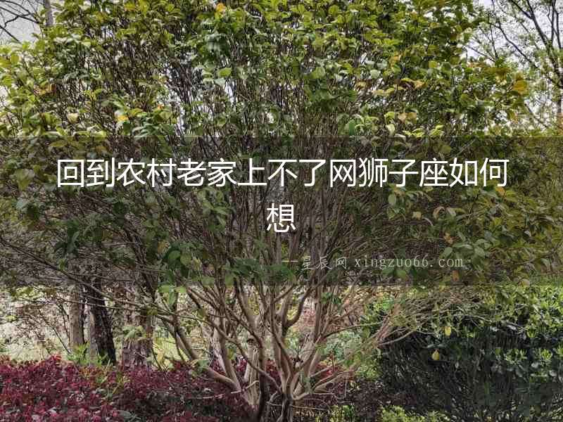 回到農(nóng)村老家上不了網(wǎng)獅子座如何想