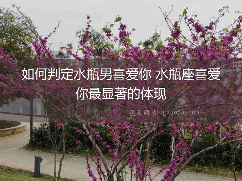 如何判定水瓶男喜愛你 水瓶座喜愛你最顯著的體現
